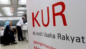 Kadang kadang informasi ini tidak terlalu penting dikala tidak. Sama Sama Berikan Kredit Ini Beda Mekaar Pnm Dan Kur Bisnis Tempo Co