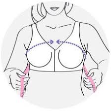 32d, 38f, 36c and so on and so forth. How To Measure Bra Size Bra Size Chart Just My Size
