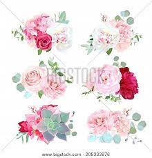 We did not find results for: Small Wedding Vector Photo Free Trial Bigstock