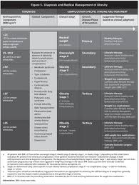 American Association of Clinical Endocrinologists and American College of  Endocrinology Comprehensive Clinical Practice Guidelines For Medical Care  of Patients with Obesity - Endocrine Practice