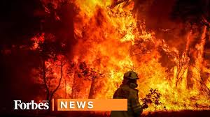 De acuerdo con la bbc, al menos 24 personas han muerto y más. Incendios En Australia Falta Lo Peor Youtube