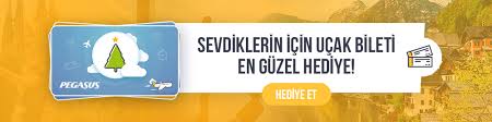 Yilbasinda Gidilecek Yerler Ve Tatil Onerileri Pegasus