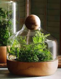 Terrarium Ideas And Inspiration Easy Diy Ideas For Indoor Gardens With Images Beautiful Terrariums Small Terrarium Modern Terrarium