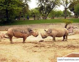 ¡disfruta en familia de las rutas en 4x4 en el parque nacional de cabañeros, el safari ibérico por excelencia, conocido como el serenguiti español! Madrid Zoo Parque Zoologico De Madrid Description And Photos Spain Madrid Usefultravelarticles Com