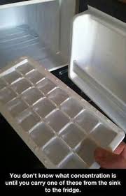Funny Memes Ice Cube Tray Funny Memes Funny Pictures Funny Bones Funny