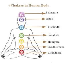 The list goes on and on. Chakra Meditation Image Of 7 Chakras In Human Body Chakras In Human Body Chakra Meditation Body Chakras