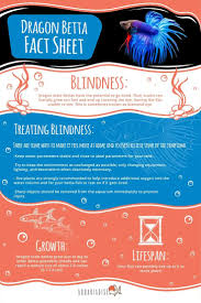 Joni McGowan (joni_mcgowan)