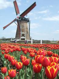 Ancient windmills near kinderdijk, netherlands. 100 Things To Do In Europe Holland Windmills Windmill Dutch Windmills