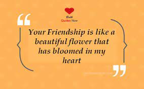 Here are some new love quotes that represent attempts to articulate the experience of new love. 25 Short And Sweet Friendship Quotes And Sayings In English