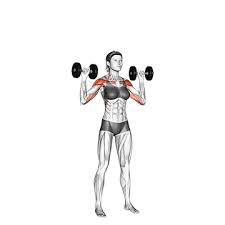 Wenn du zu hause und unterwegs die meisten frauen mehr definition. Muskelaufbau Frau Ab 50 Trainingsplan Bilder Videos