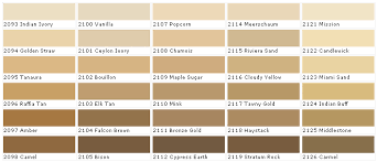 camel color swatch