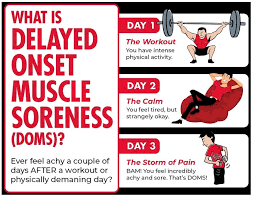 Delayed Onset Muscle Soreness (Doms) • Bodybuilding Wizard