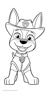 epingle sur coloriage dessin pimboli