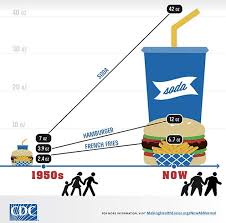 Fast Food Burgers Have Tripled In Size Since The 1950s Grist