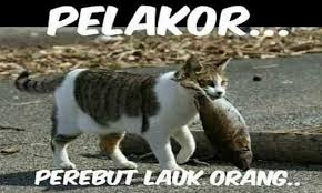 32 Gambar Kata Kata Lucu Tentang Kucing Kata Kata Lucu Terbaru Yang Bikin Ngakak Kumpulan Meme Lucu Grup Sepi Untuk Memancing Di 2020 Kucing Oranye Gambar Lucu Lucu