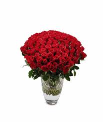 Does aldi still sell flowers. Valentine S Day Flowers Aldi Romance Shouldn T Cost The Earth Hold The Anchovies Please