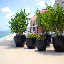 Large enough to accommodate 12.7 gallons of soil for growing your favorite. Jay Scotts Fiberglass Wannsee Large Round Planter Eplanters