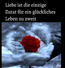 Mit Dir Bin Ich Glucklich Du Auch Mit Mir Daizo Schone Rose Schone Motive Blumen