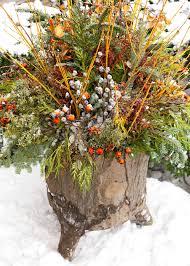 Outdoor winter flowers for pots. 14 Cheerful Winter Container Gardens Midwest Living
