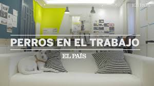 Jun 05, 2021 · el más completo resumen de las noticias de última hora del día 5 de junio del 2021 en abc.es. Dia Mundial De Llevar Al Perro Al Trabajo