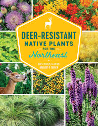 Deer resistant does not mean that deer will not eat a particular plant, it means they prefer other vegetation. Deer Resistant Native Plants For The Northeast Clausen Ruth Rogers Tepper Gregory D 9781604699869 Amazon Com Books