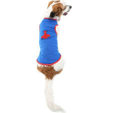 Dogi Dog Spiderman Kedi Kopek Atleti Kopek Kiyafeti Fiyati