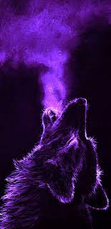 We did not find results for: Purple Cool Wallpapers Top Free Purple Cool Backgrounds Wallpaperaccess