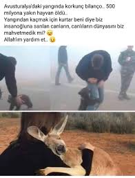 Hedef 2023 Adli Kullanicinin Guzel Sozler Panosundaki Pin 2020 Avustralya Manzara Hayvan