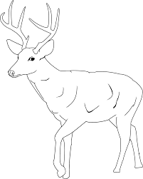 Once a gnarly old buck is past his prime his rack will have shorter tines and usually what he loses in length will result in greater mass. Buck And Doe Coloring Pages Coloring Home