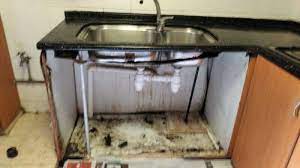 Maybe you would like to learn more about one of these? Kitchen Sink Cabinet Bathroom Vanity Cabinet Repair Hougang Punggol Sengkang Gumtree Classifieds Singapore 771605382