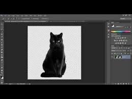 طريقة تفريغ الصور إزالة الخلفية بواسطة الفوتوشوب youtube photoshop adobe photoshop animals