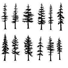 Trees Fir Evergreen Pine Clipart Silhouettes Eps Dxf Pdf Png Svg Files Plasma Cnc Tree Silhouette Tattoo Pine Tattoo Tree Drawing
