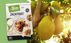 Jackfruit Infos Rezepte Zur Trend Frucht Dm De Jackfruit Rezepte Rezepte Fruchte
