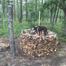 Check spelling or type a new query. What S In A Woodpile The Provincetown Independent