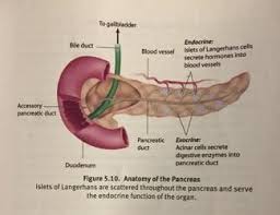 We did not find results for: Pin On Mcat