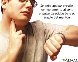 Cómo tomar el pulso carotídeo: MedlinePlus enciclopedia médica ...