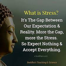 It Is The Gap Between What We Want And What We Have Buddhist Quotes Buddha Quote Life Quotes