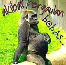 Dengan membaca artikel ini, anda berarti sudah melangkah di jalur yang tepat. Paling Keren 28 Gambar Monyet Lucu Gambar Foto Monyet Yang Akan Kami Bagikan Ini Adalah Gambar Gambar Terpilih Yang Sudah Kami Seleksi Sehi Lucu Monyet Gambar