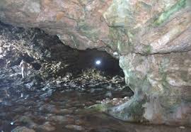 Wordways Caribbean Animal Flower Cave Barbados