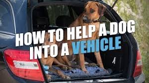 A long dog ramp can provide the bridge your senior dog needs to get into the car with ease. How To Help A Dog Into A Vehicle Youtube