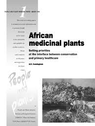 Image result for Monanthotaxis afra