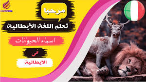 اسماء الحيوانات بالصوت والصورة في اللغة الأيطالية