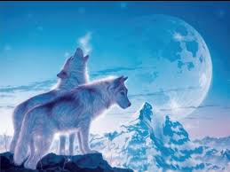 A visionary artist of nature and fantasy (video). Fantasy Original Art Artistic Artwork Wolf Wolves Wallpapers Hd Desktop And Mobile Backgrounds
