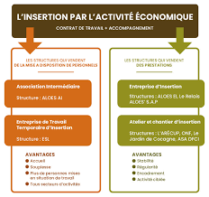 L'insertion par l'activité économique (iae) a pour finalité de permettre aux personnes les plus exclues du marché du travail (allocataire du toutes s'inscrivent dans des marchés concurrentiels et sont spécialisées dans un secteur professionnel particulier. Qui Sommes Nous Iae 48