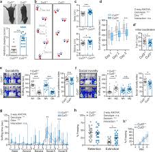 On the molecular mechanisms regulating animal cell size homeostasis. Cul3 Regulates Cytoskeleton Protein Homeostasis And Cell Migration During A Critical Window Of Brain Development Nature Communications
