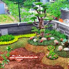 Membuat taman minimalis dengan menentukan ukuran taman hingga menentukan tanaman apa yang bisa di jadikan penghias rumah seperti tanaman batang, tanaman hias buah, dan bunga bunga apa saja yang cocok ditanam di sekitar rumah kamu. Tukang Taman Sidoarjo Jasa Pembuatan Taman Kabupaten Sidoarjo Cipta Alam Landscape