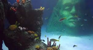 We did not find results for: Tank Decor Replicating Habitats Original Rock Coral Artifacts