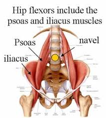 Low back extensor muscles, such as the erector spinae, must eccentrically contract to slow your body's descent as you flex forward, then isometrically contract sitting places the hip joint into flexion, shortening the hip flexor muscles that cross the joint anteriorly, attaching from the pelvis to the thigh. Check Your Hips For Back Pain Total Sports Therapy