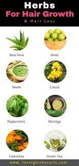 Rosemary could be as effective as 2% topical minoxidil (a medication for treating hair loss) in treating androgenic alopecia and stimulating healthy hair growth (5). Pin On Herbs For Hair Growth