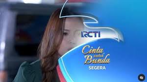 Просмотров 96 млн3 года назад. Rcti Umumkan Sinetron Baru Cinta Untuk Bunda Bakal Gantikan Ikatan Cinta Tribun Kaltim
